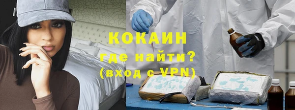 молекула духа Осташков
