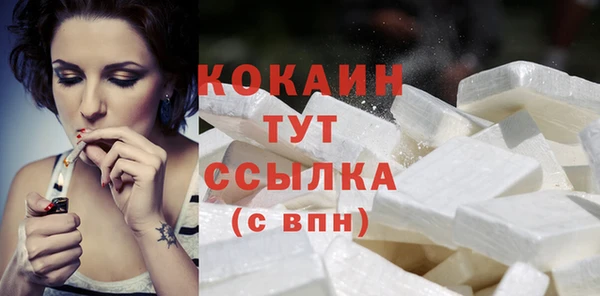 молекула духа Осташков