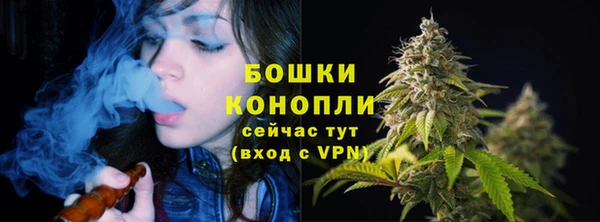 молекула духа Осташков