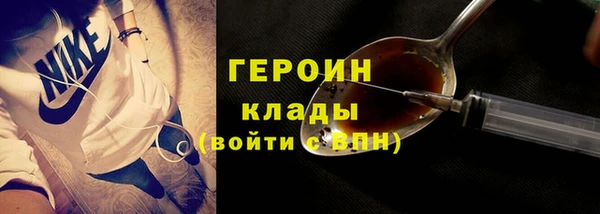 молекула духа Осташков
