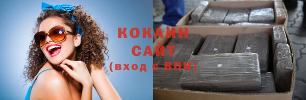 молекула духа Осташков
