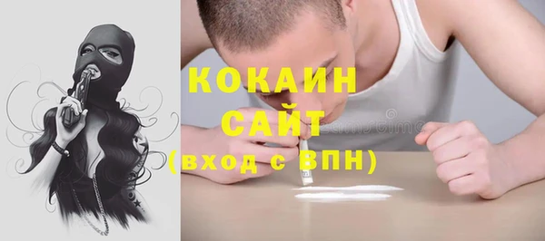 бошки Осинники