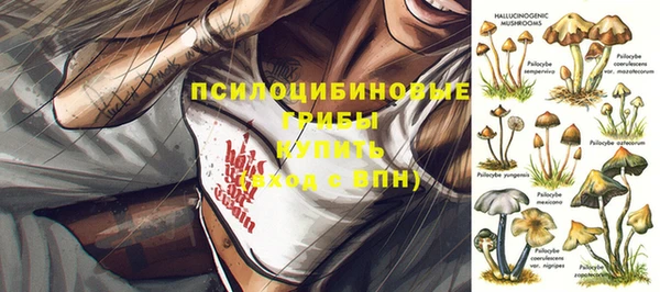 бошки Осинники