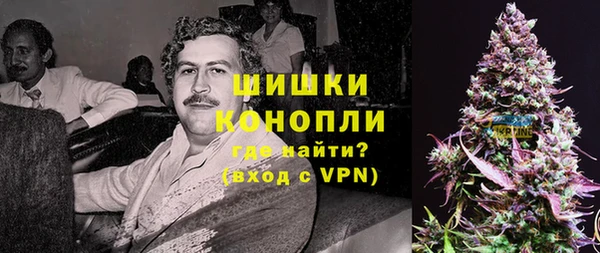 молекула духа Осташков