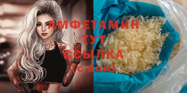 молекула духа Осташков