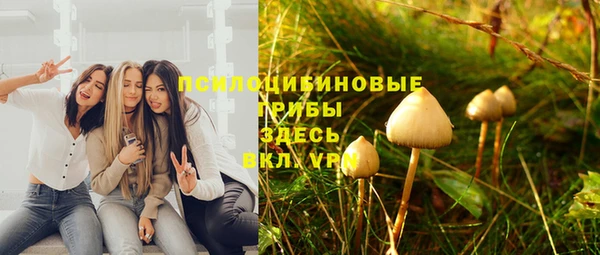 бошки Осинники