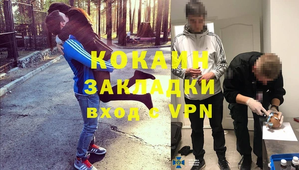 бошки Осинники